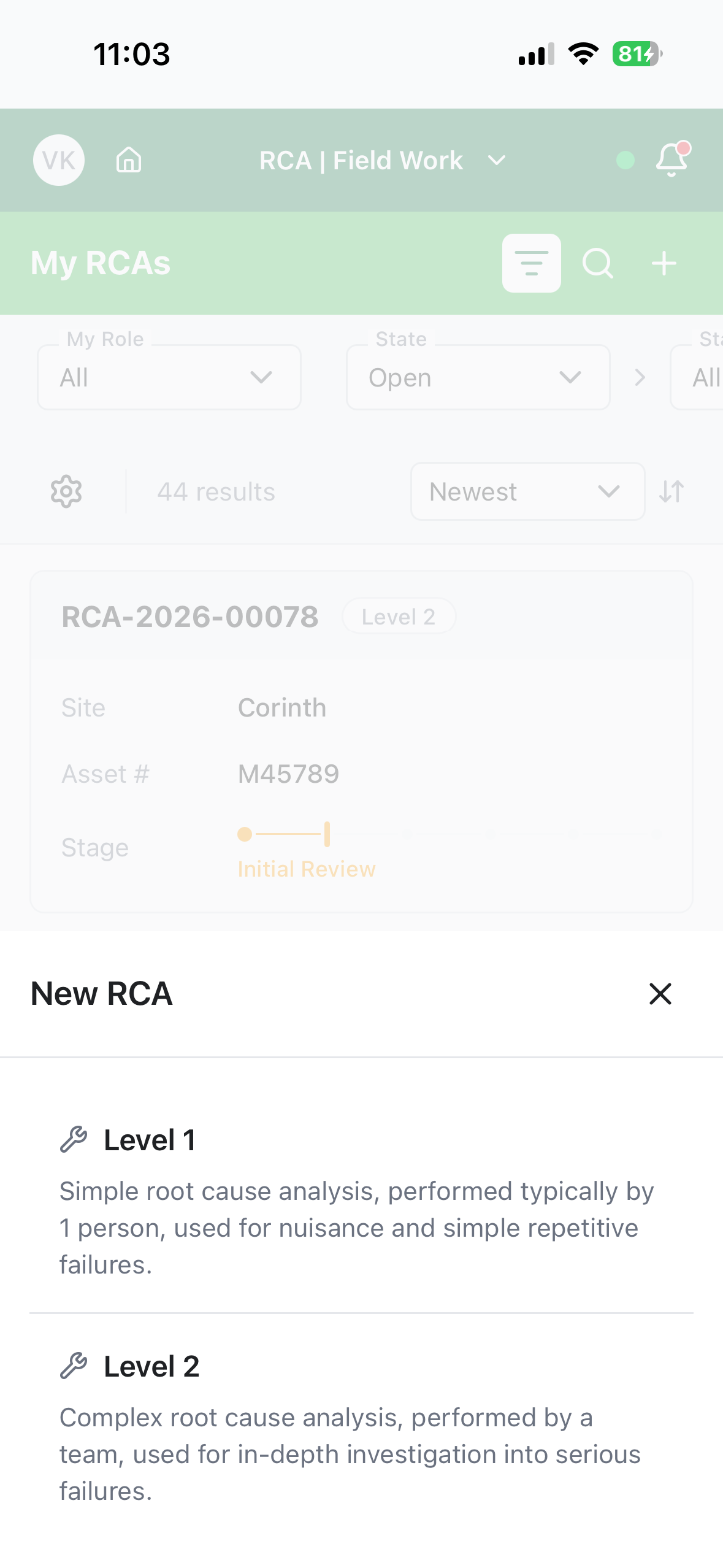 The New RCA sheet showing Level 1 and Level 2